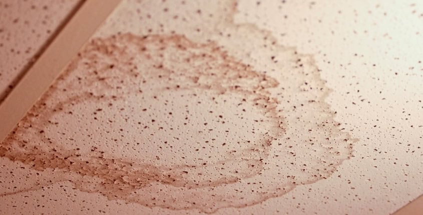 Common Reasons Behind Moisture Infiltration May Blog 1 Close shot of moisture infiltration in a roof