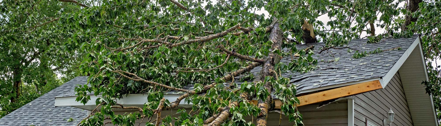 How Can I Deal With These Roofing Issues__ Tree fallen on residential roof