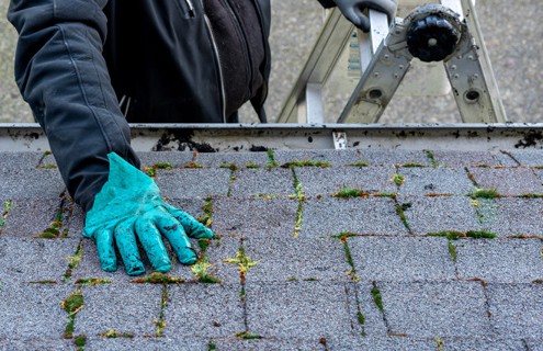 Cleaning a residential shingle roofing system requires inspecting the roof