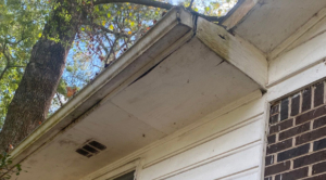 mold water damage repair soffit and fascia