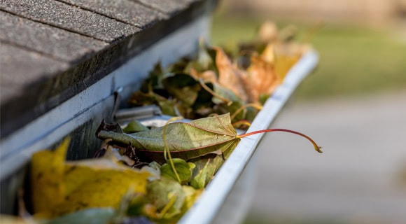 Cleaning a residential shingle roofing system