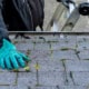 roofing system inspection