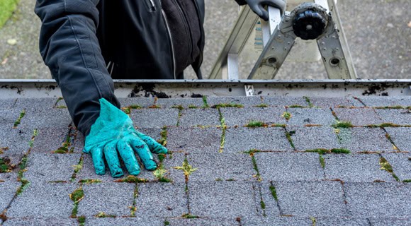 roofing system inspection