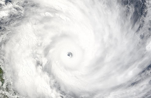 Hurricane Milton devastation emergency resources contacts and disaster recovery