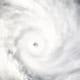 Hurricane Milton devastation emergency resources contacts and disaster recovery