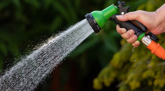 Washing a residential shingle roof requires protecting plants and landscaping