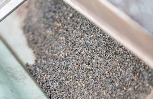 asphalt shingle roofing granule loss accumulation in gutter