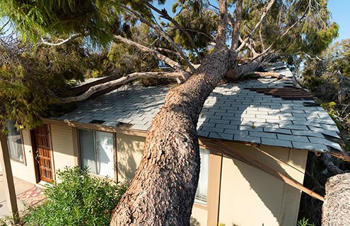 Exterior and interior damage when a tree fell on roof