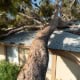 Exterior and interior damage when a tree fell on roof