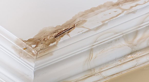 Homeowners need to know how to identify roof leaks